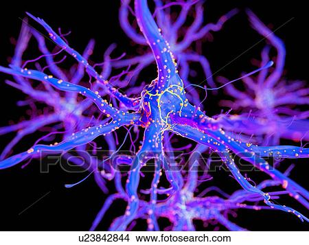 Picture - 3d rendered illustration of a nerve cell.. Fotosearch