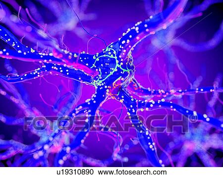 Stock Image - 3d rendered illustration of a nerve cell.. Fotosearch