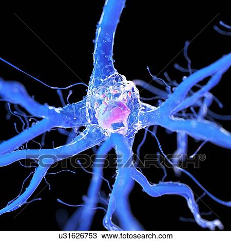 3d rendered illustration of a nerve cell. View Large Photo Image Stock Image - 3d rendered illustration of a nerve cell.. Fotosearch
