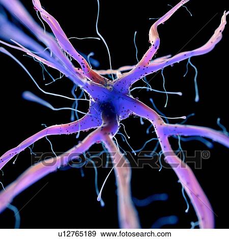 3d rendered illustration of a nerve cell. View Large Photo Image Stock Photo - 3d rendered illustration of a nerve cell.. Fotosearch