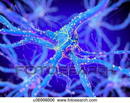 Stock Photograph - 3d rendered illustration of a nerve cell.. Fotosearch