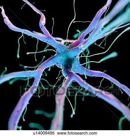 Stock Photography - 3d rendered illustration of a nerve cell.. Fotosearch