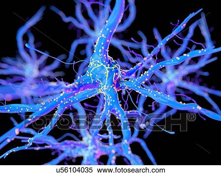3d rendered illustration of a nerve cell. View Large Photo Image Stock Photography - 3d rendered illustration of a nerve cell.. Fotosearch