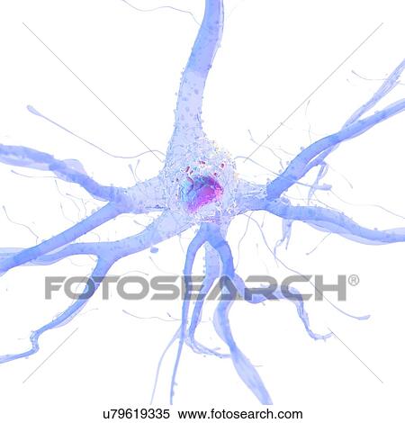 3d rendered illustration of a nerve cell. View Large Photo Image Stock Photography - 3d rendered illustration of a nerve cell.. Fotosearch