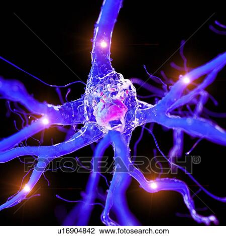 3d rendered illustration of an active nerve cell. View Large Photo Image Stock Image - 3d rendered illustration of an active nerve cell.. Fotosearch