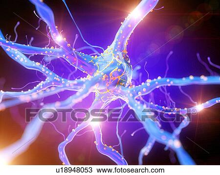 3d rendered illustration of an active nerve cell. View Large Photo Image Stock Image - 3d rendered illustration of an active nerve cell.. Fotosearch
