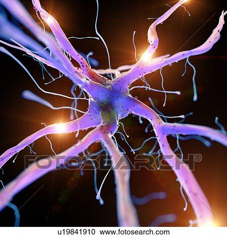 Stock Image - 3d rendered illustration of an active nerve cell.. Fotosearch