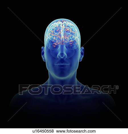 Stock Photo - 3d rendered illustration of an active brain.. Fotosearch