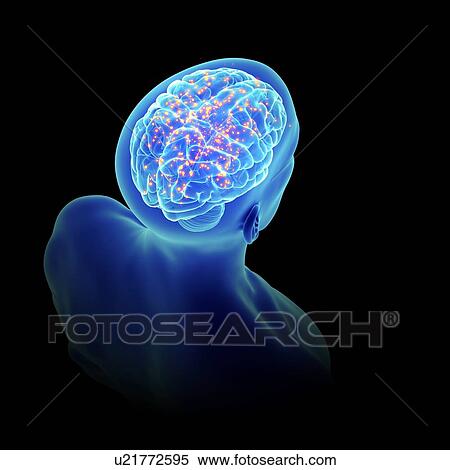 3d rendered illustration of an active brain. View Large Photo Image Stock Photography - 3d rendered illustration of an active brain.. Fotosearch