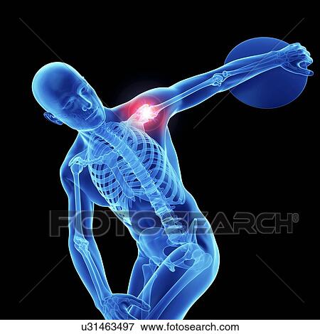 3d rendered illustration of an athlete's painful shoulder. View Large Photo Image Stock Photo - 3d rendered illustration of an athlete's painful shoulder.. Fotosearch