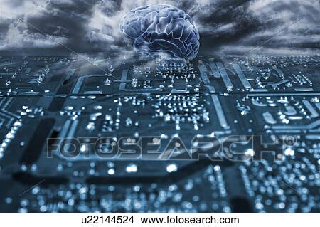 Artificial intelligence, conceptual composite image. Human brain and computer circuit board. View Large Photo Image Picture - Artificial intelligence, conceptual composite image. Human brain and computer circuit board.. Fotosearch