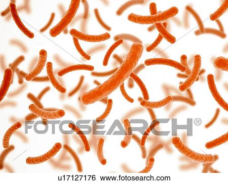 Bacteria cells orange on white background with depth of field, illustration. View Large Photo Image Stock Photograph - Bacteria cells orange on white background with depth of field, illustration.. Fotosearch