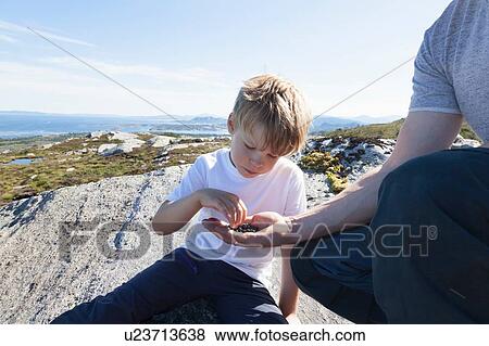 Stock Photo - Boy taking berries from father's hand on rock, Aure, More og Romsdal, Norway. Fotosearch