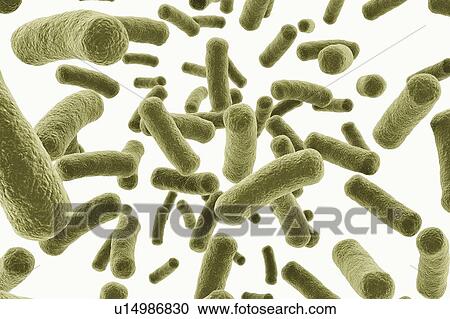 Computer generated illustration of bacteria cells, illustration. View Large Photo Image Stock Image - Computer generated illustration of bacteria cells, illustration.. Fotosearch