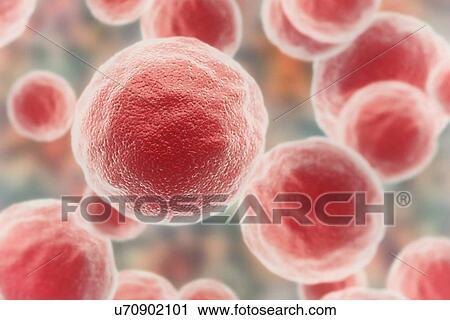 Stock Image - Computer illustration of cancer cells, illustration.. Fotosearch