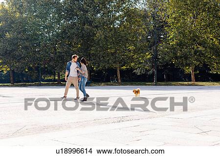 Picture - Couple with pet dog in park. Fotosearch