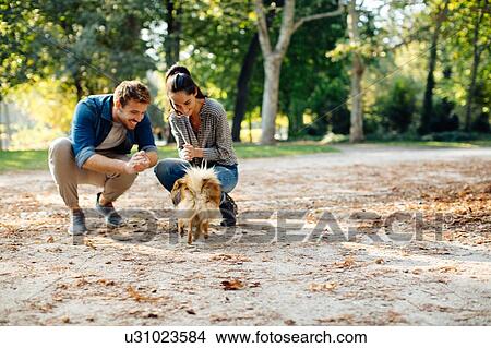 Picture - Couple with pet dog in park. Fotosearch