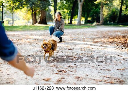 Stock Image - Couple with pet dog in park. Fotosearch
