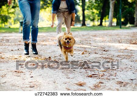 Stock Image - Couple with pet dog in park. Fotosearch