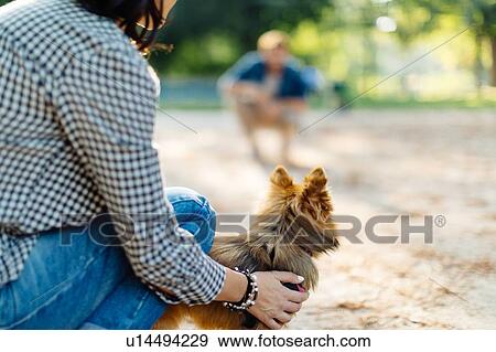 Couple with pet dog in park View Large Photo Image Stock Photo - Couple with pet dog in park. Fotosearch