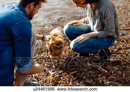 Couple with pet dog in park View Large Photo Image Stock Photograph - Couple with pet dog in park. Fotosearch
