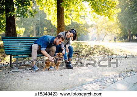 Stock Image - Couple with pet dog sitting on park bench. Fotosearch
