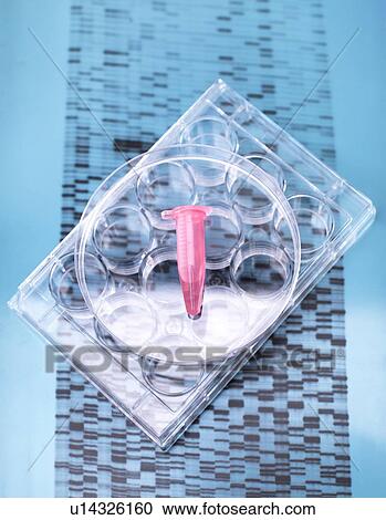 DNA sample inside vial on multi well plate, DNA gel showing results View Large Photo Image Stock Image - DNA sample inside vial on multi well plate, DNA gel showing results. Fotosearch
