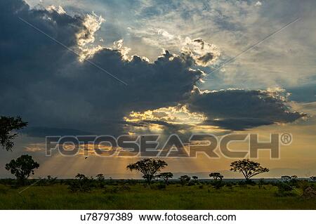 Stock Photo - Dusk at Queen Elizabeth National Park, Uganda. Fotosearch