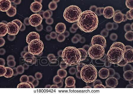 Picture - Human cells, 3d illustration.. Fotosearch