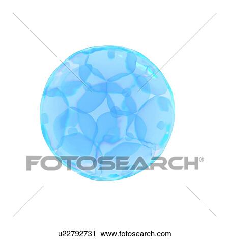 Illustration of 16 cell egg. View Large Photo Image Stock Image - Illustration of 16 cell egg.. Fotosearch