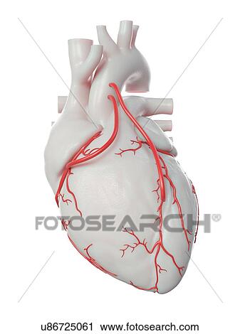 Stock Image - Illustration of 2 bypasses.. Fotosearch