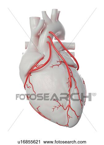 Stock Image - Illustration of 3 bypasses.. Fotosearch