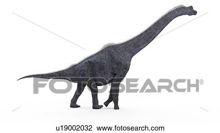 Stock Image - Illustration of a brachiosaurus.. Fotosearch