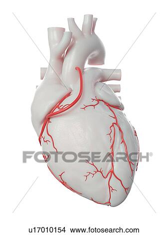 Picture - Illustration of a bypass.. Fotosearch