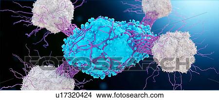 Picture - Illustration of a cancer cell being attacked by leukocytes.. Fotosearch