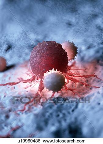 Stock Photograph - Illustration of a cancer cell being attacked by white blood cells.. Fotosearch