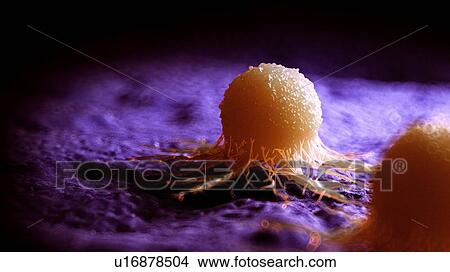 Picture - Illustration of a cancer cell.. Fotosearch