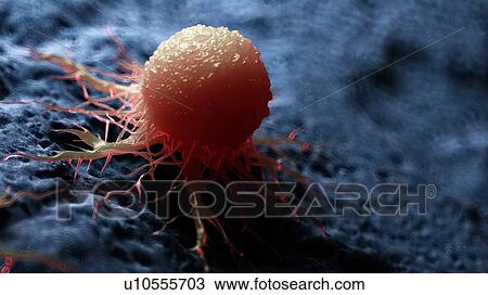 Illustration of a cancer cell. View Large Photo Image Stock Image - Illustration of a cancer cell.. Fotosearch