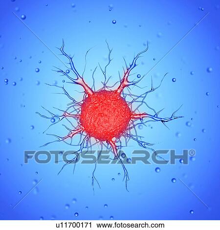 Stock Image - Illustration of a cancer cell.. Fotosearch