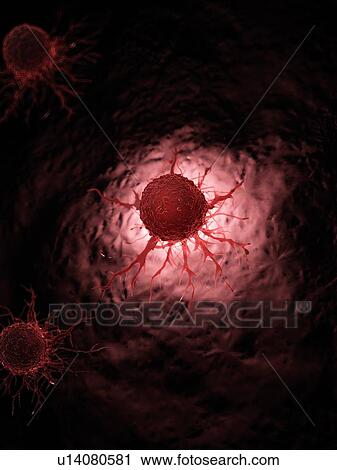 Stock Image - Illustration of a cancer cell.. Fotosearch