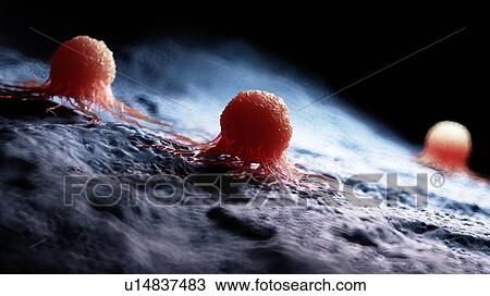 Illustration of a cancer cell. View Large Photo Image Stock Image - Illustration of a cancer cell.. Fotosearch