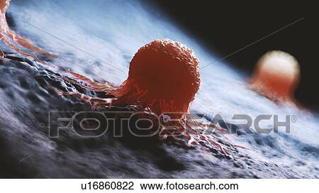 Stock Image - Illustration of a cancer cell.. Fotosearch