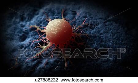 Stock Image - Illustration of a cancer cell.. Fotosearch