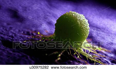 Stock Image - Illustration of a cancer cell.. Fotosearch