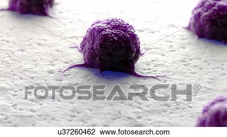 Stock Image - Illustration of a cancer cell.. Fotosearch