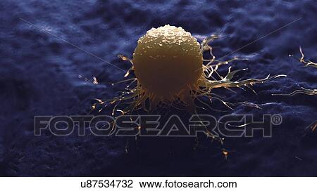 Stock Image - Illustration of a cancer cell.. Fotosearch