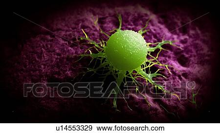 Stock Photo - Illustration of a cancer cell.. Fotosearch