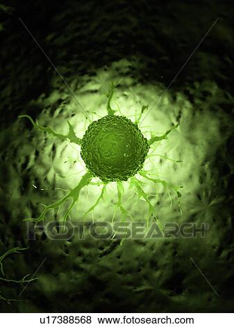 Stock Photo - Illustration of a cancer cell.. Fotosearch