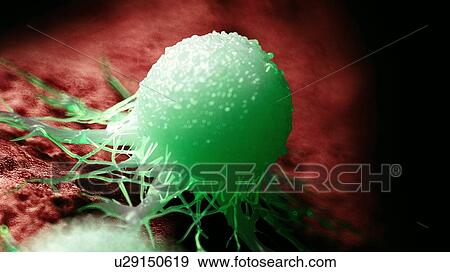 Stock Photo - Illustration of a cancer cell.. Fotosearch