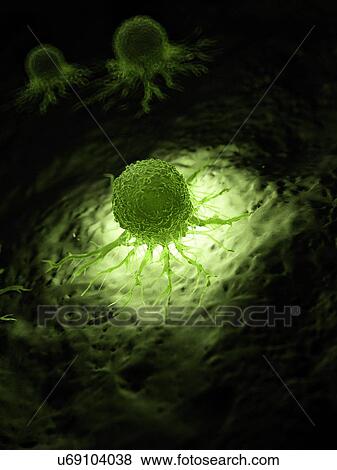 Stock Photo - Illustration of a cancer cell.. Fotosearch